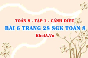 Bài 6 trang 28 SGK Toán 8 tập 1 Cánh Diều
